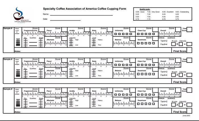 Grille d'évaluation cupping SCA